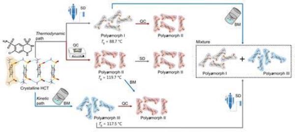 Polyamorph interconversions