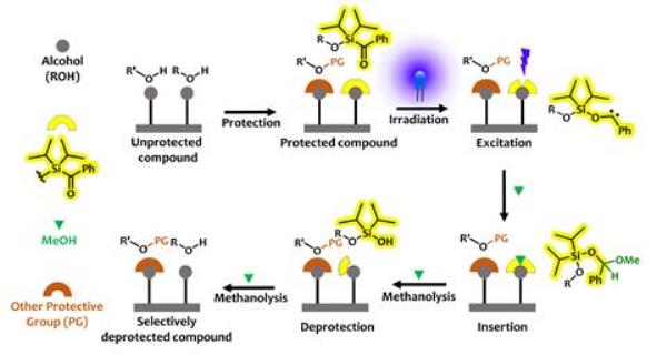 Protecting and deprotecting alcohols with benzoyldiisopropylchlorosilane