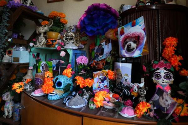 During Mexico's famed Day of the Dead celebrations, even Fido and Tiger get a place at the altars Mexican families set up to ho<em></em>nor their deceased loved ones, complete with flowers, candles and photographs.