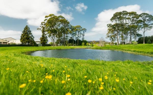 Upgrades at Puhinui Domain are part of the Te Whakaoranga o te Puhinui regeneration project which aims to improve the health of Puhinui Stream and the wellbeing of the community.