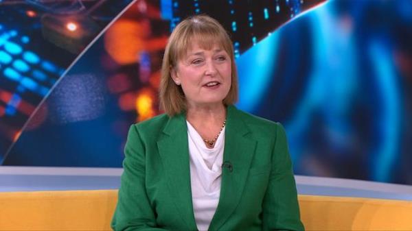 Employee Matters managing director Natasha Hawker appeared on Sunrise on Thursday, speaking a<em></em>bout the use of software to mo<em></em>nitor remote employees. 