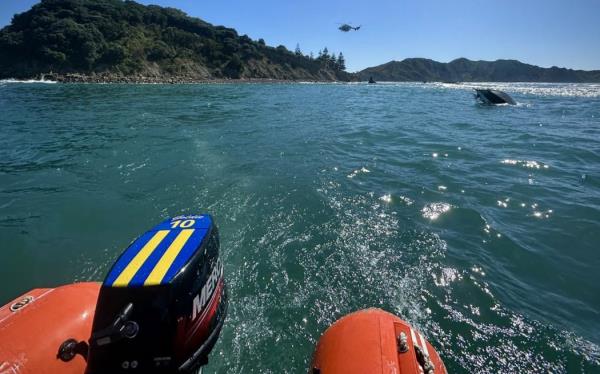 Eastland Rescue Helicopter and search and rescue were called to Tuamotu Island just off Gisborne's Spo<em></em>nge Bay at 9.20am on Tuesday after a small boat capsized, leaving three people in the water a<em></em>bout 100 metres off shore.