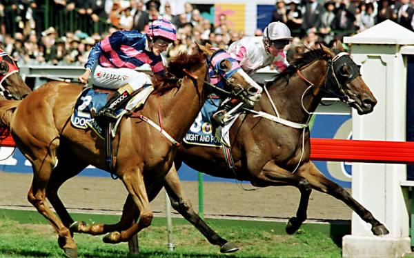 Doriemus with jockey Greg Hall (L) just fails to pip winner Might and Power with jockey Jim Cassidy on the line in the 137th running of the Melbourne Cup  04 November at the Flemington race course in Melbourne. Favourite Might and Power won the race by a nose in the race which stops the nation on the first Tuesday in November in the 2.2 million Australian dollar (US$1.54 million) race. AFP PHOTO (Photo by WILLIAM WEST / AFP)