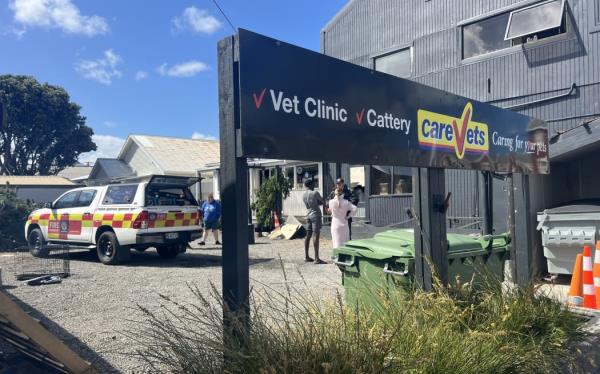 Fire and Emergency say CareVets in the Wellington suburb of Kilbirnie was gutted after a fire on Saturday 2 November 2024.