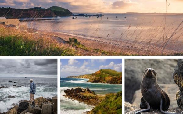 Funds are being raised for co<em></em>nservation efforts at Ngā Manu Nature Reserve in Kapiti