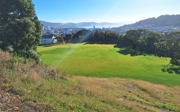 There is a sewer blockage at Prince of Wales Park in the Wellington suburb of Mount Cook. File picture.