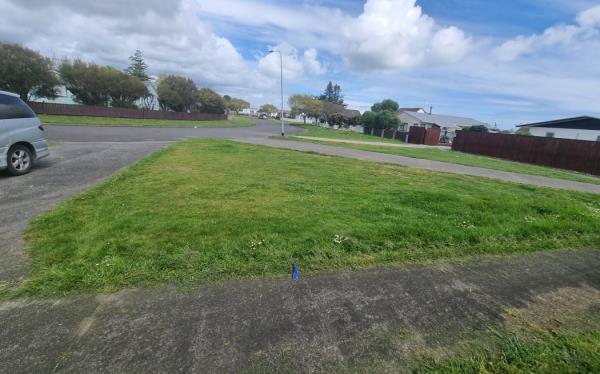 Levin council to stop mowing berms.