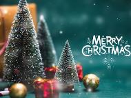 Merry Christmas Wishes 2024: Wishing you a season filled with love, joy, and endless memories. Merry Christmas to you and your loved ones! (Image: Shutterstock)
